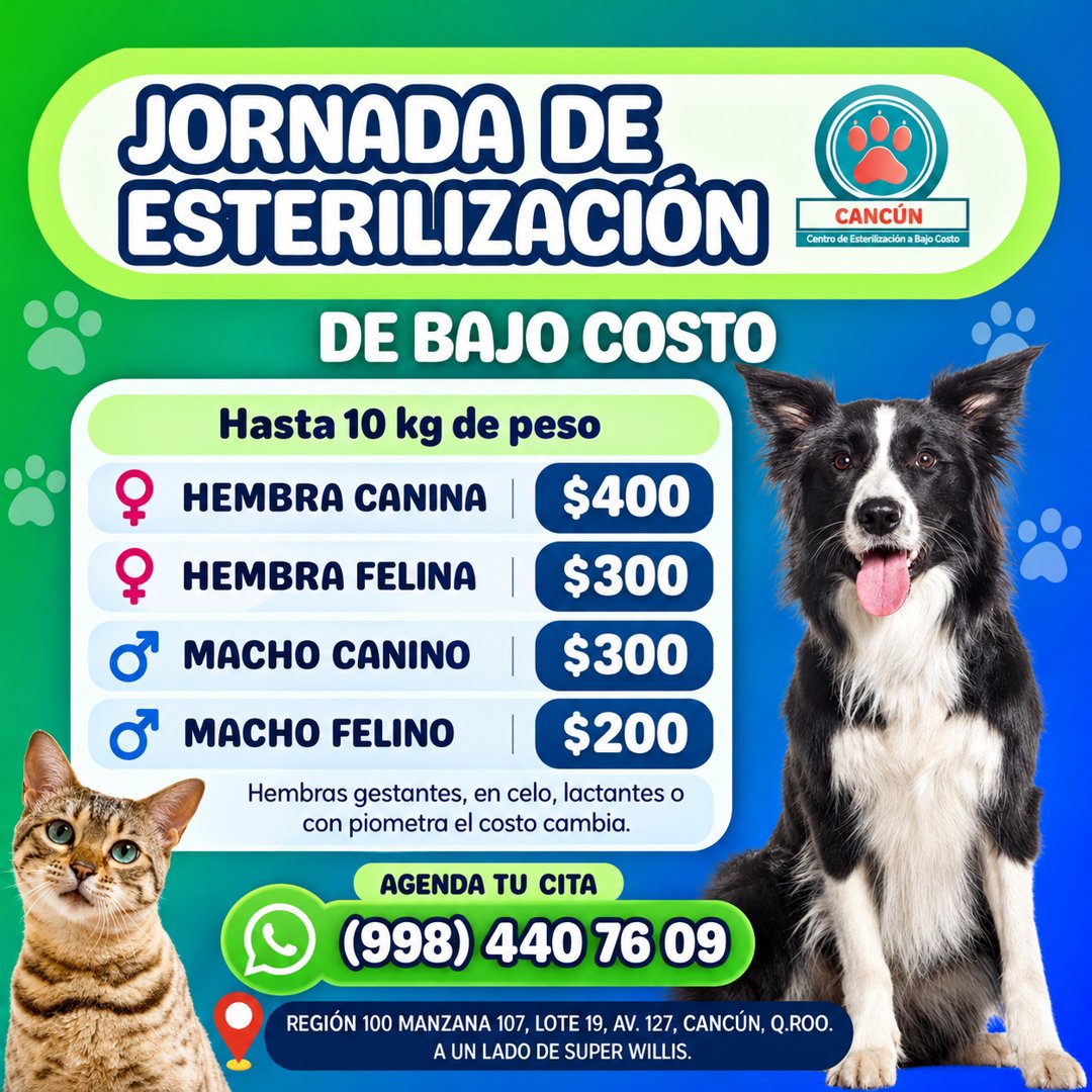 Anuncio de Centro de Esterilizaciones a bajo costo Cancún