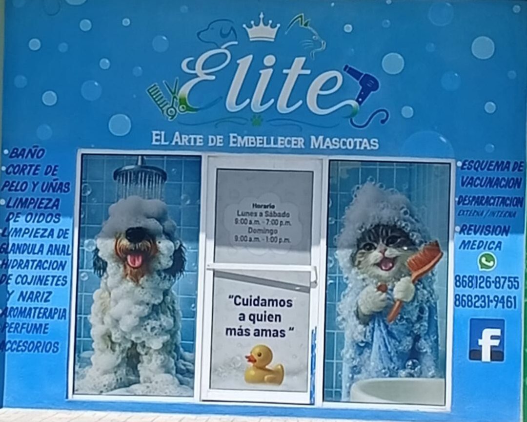 Anuncio de Elite Estetica canina: Estética canina