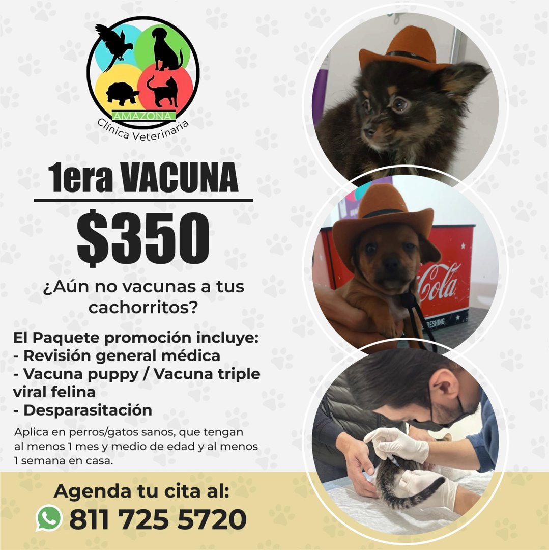Anuncio de Amazona Clínica Veterinaria: 1ª vacuna para cachorros