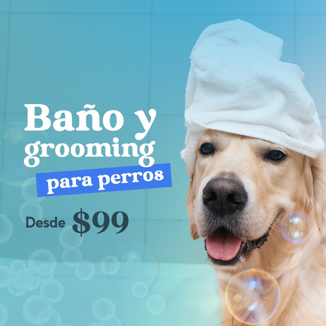 Anuncio de MardiCan: Baño y grooming para perros