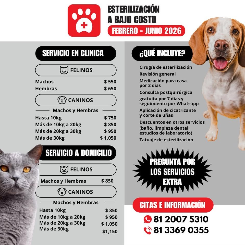 Anuncio de Clinica Veterinaria: Perrito Perrito, Guau Guau