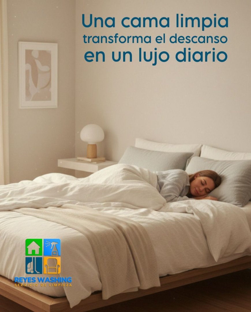 Anuncio de Servicios de limpieza: Limpieza de colchón