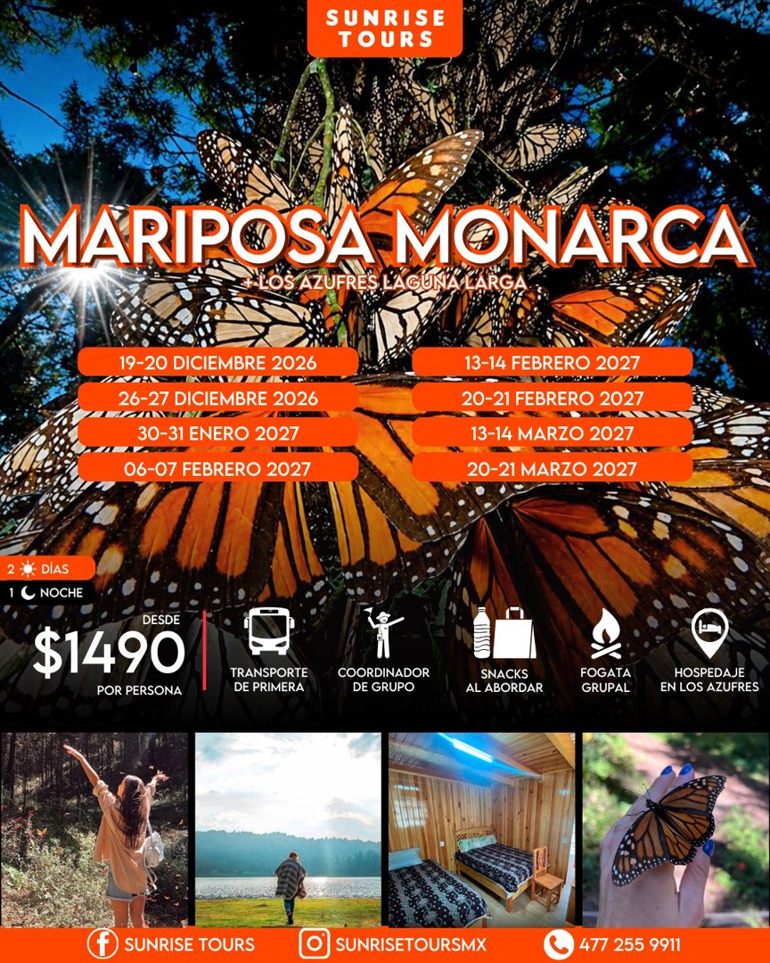 Anuncio de Sunrise Tours: Viaje turístico a Mariposa Monarca y Los Azufres
