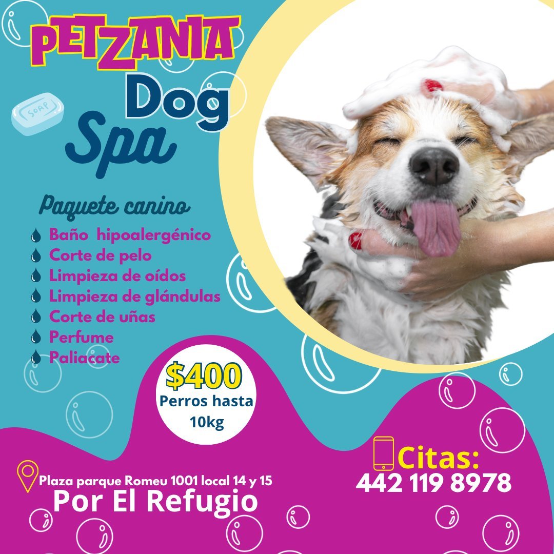 Anuncio de PetZania: Paquete canino completo