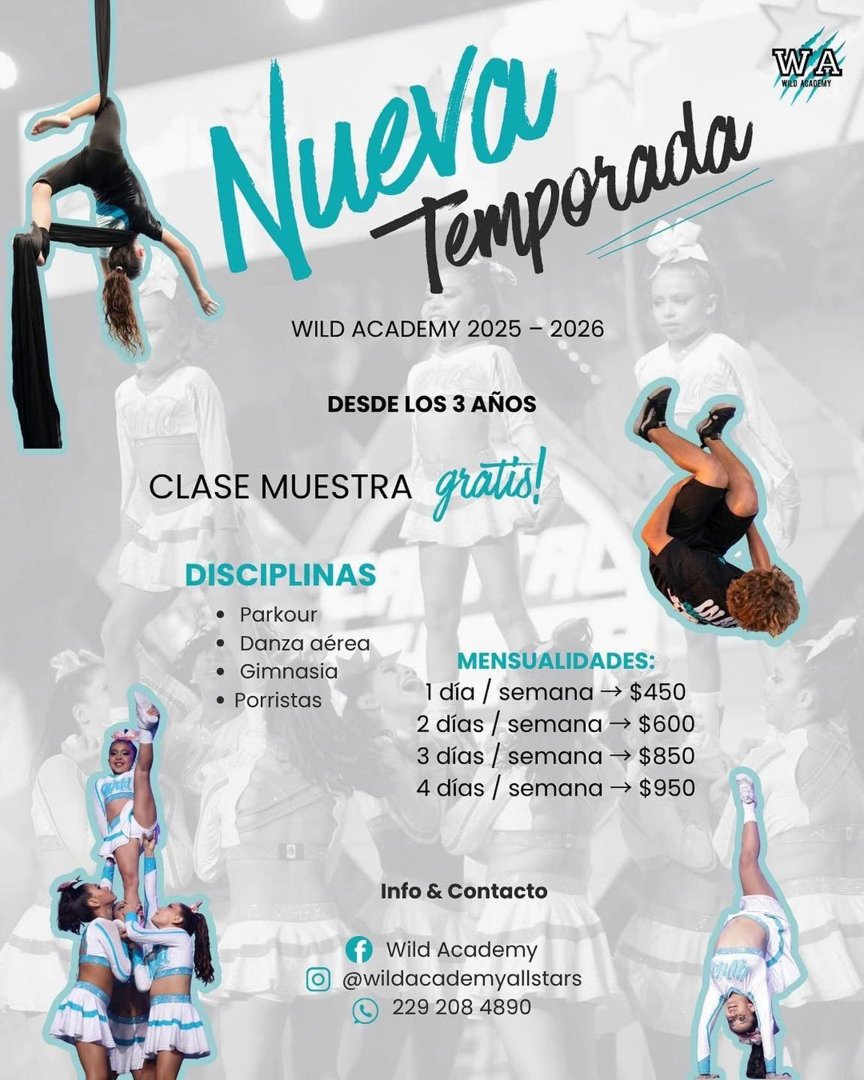 Anuncio de Wild Academy: Clases de gimnasia, parkour, danza aérea y porristas para niños